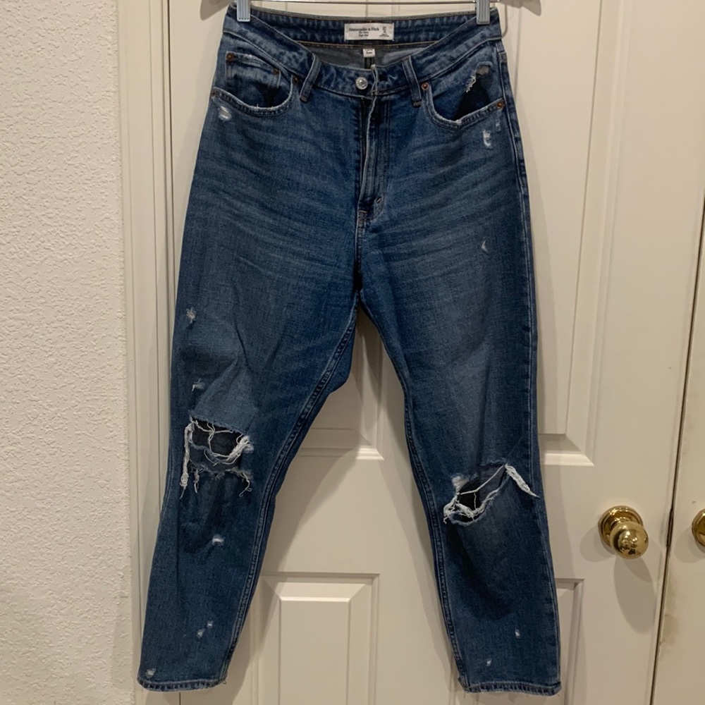 Abercrombie & Fitch Curve Love High Rise Mom Jeans